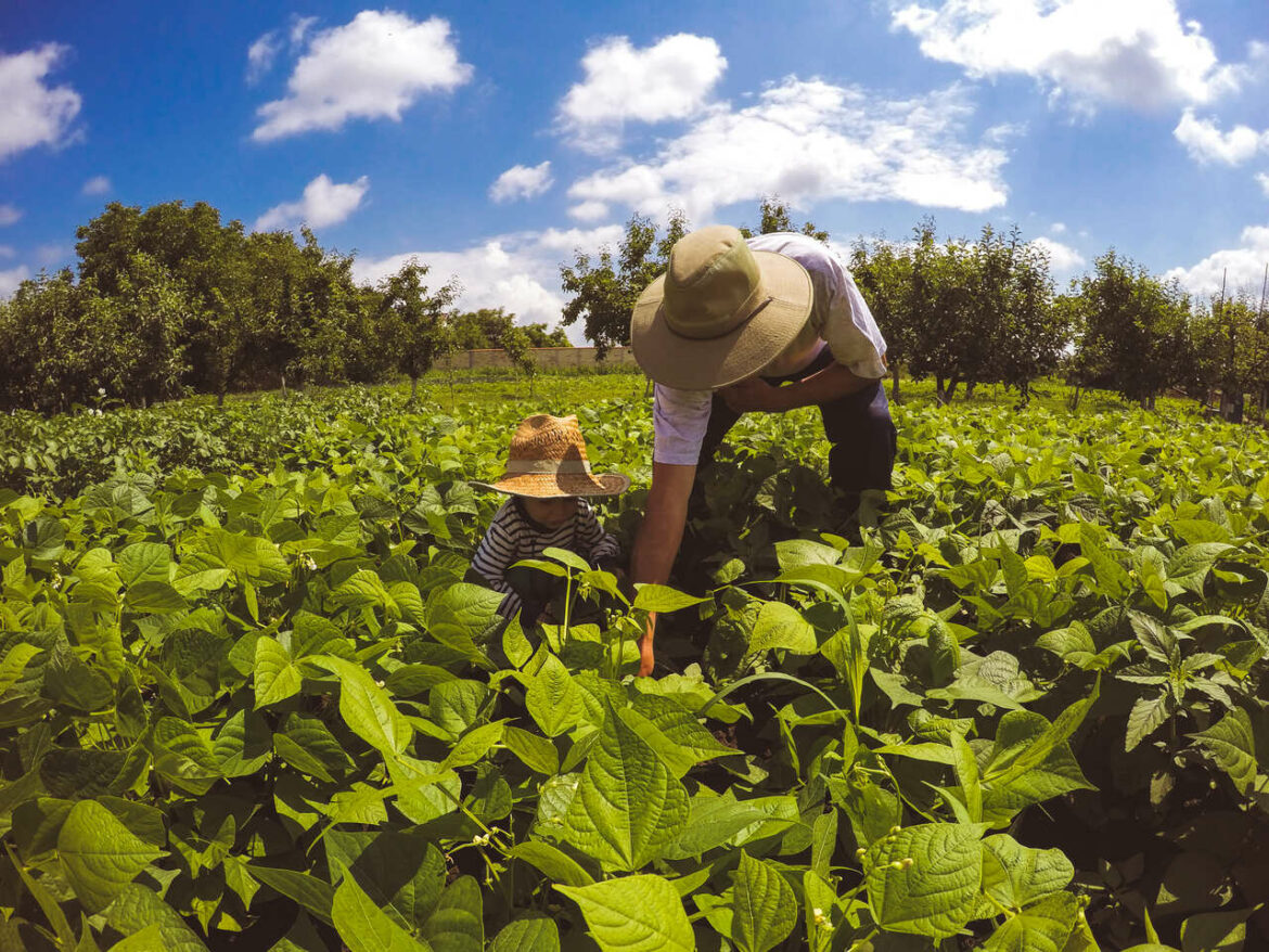 21102024_115923agricultura1