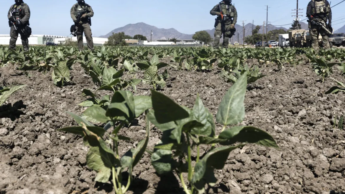 GettyImages-2224591691-scaled-e1752234422783