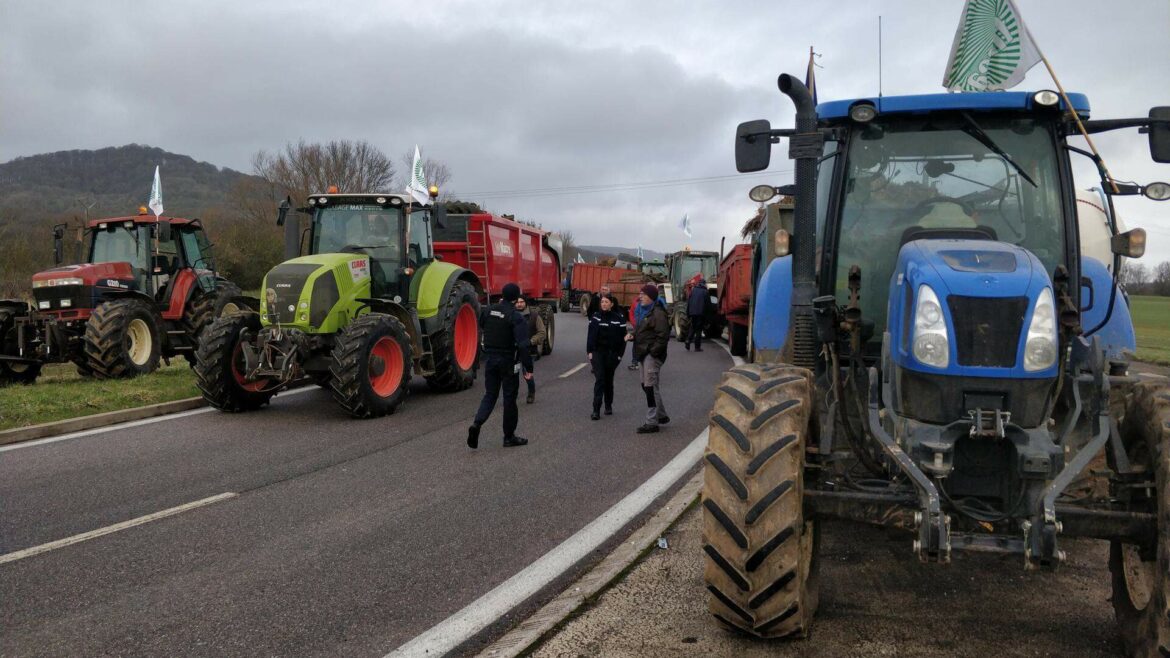agricultores