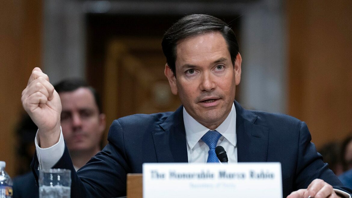 rubio-senate-hearing